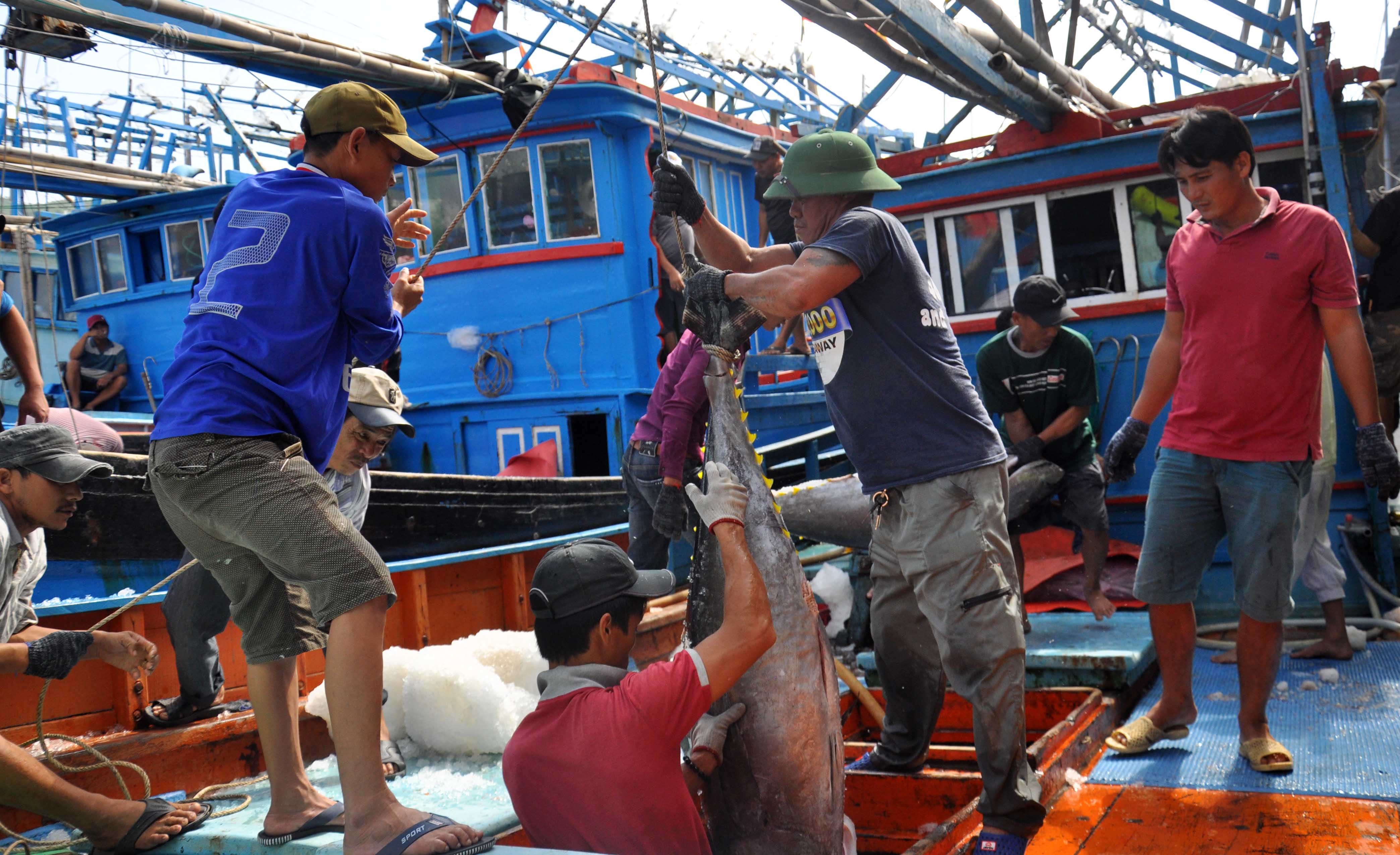 Hải Phòng tìm hướng phát triển bền vững nghề cá (24/8/2018)